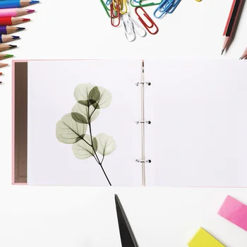 Пътна карта за съхранение на Сухи Цветя, за Награда-талон, хартия за пресоване на DIY, Фото албум